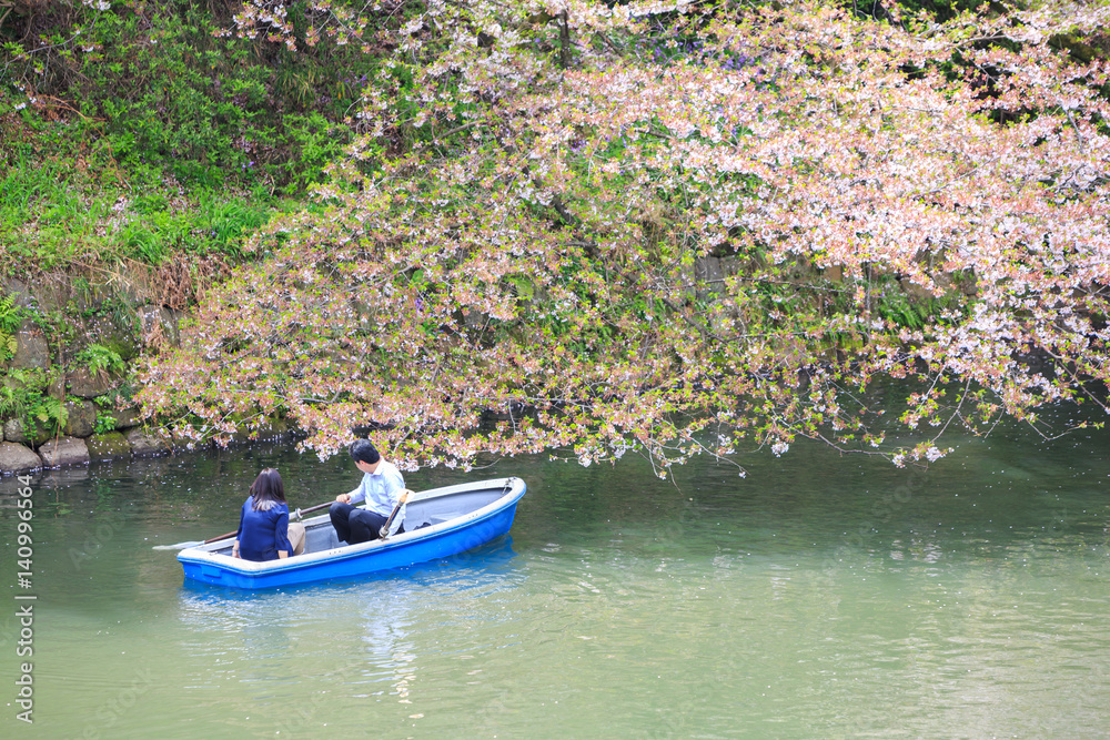 Chidorigafuchi park during the spring season. Chidorigafuchi park during the spring season.