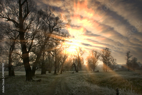 autumn landscape