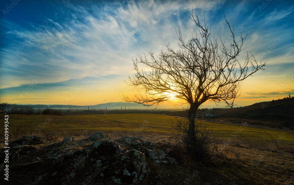 Tree on colorful sunset with clouds in the sky and mountains on the background. Tree on colorful sunset with clouds in the sky and mountains on the background.