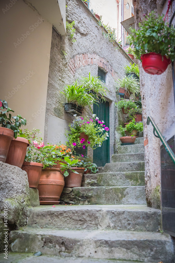 Italian Side Street Alley with Flowers