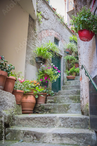 Fototapeta Naklejka Na Ścianę i Meble -  Italian Side Street Alley with Flowers