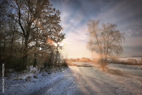  winter landscape