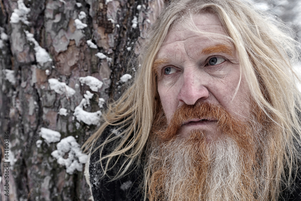 man in the winter forest