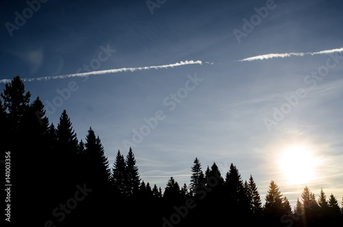 Mountain landscape of top of fir trees forest at sunset