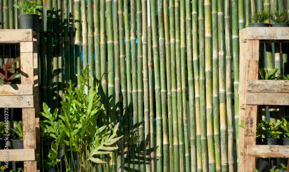 bamboo green and plants bamboo green and plants