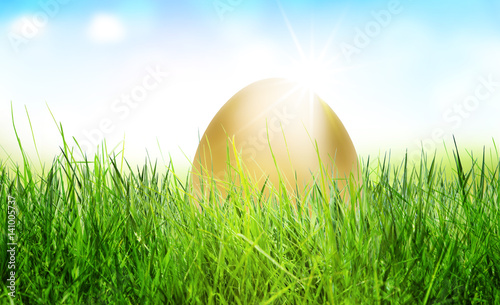 Goldenes Ei im Gras