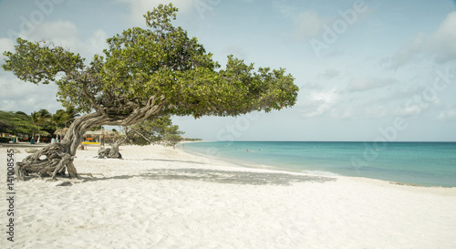 Eagle beach on Aruba island