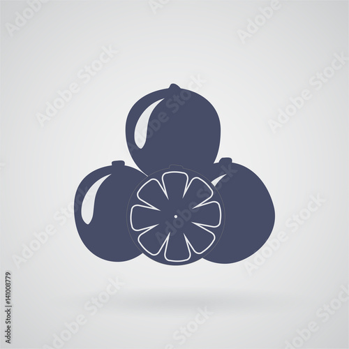 Set of three citrus fruits on a gray background with a shadow. photo