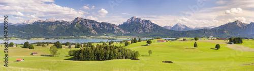 Panorama Landschaft mit Frühlingswiese und Forggensee im Allgäu