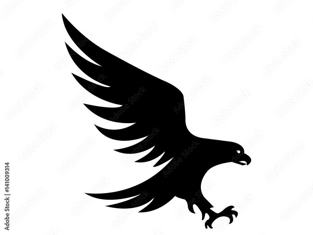 Obraz premium Şahin