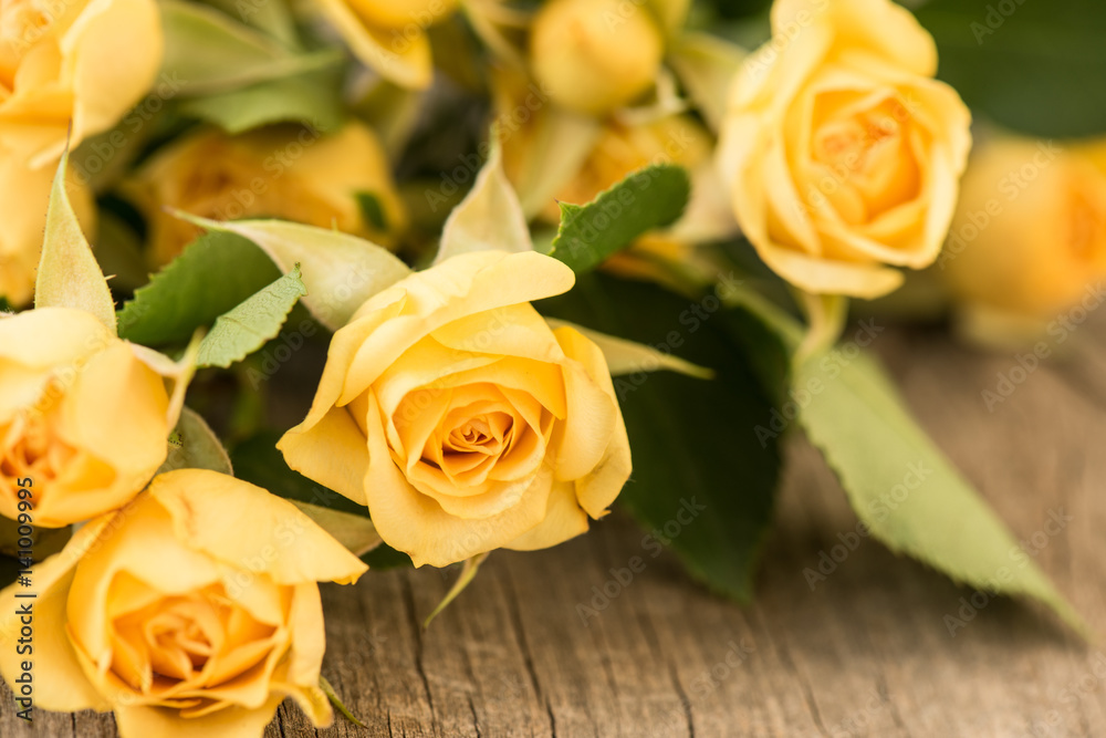 Yellow roses on vintage, rustic wooden background