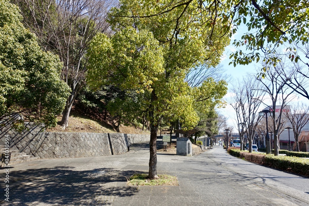 公園散歩 公園散歩