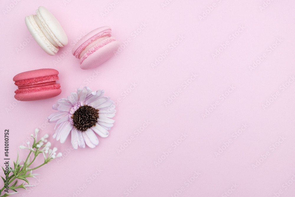 macaroon macaroon
