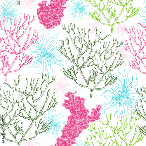 Collection of marine plants, corals and seaweed. Vintage seamless pattern with hand drawn marine flora. Vector illustration in line art style.