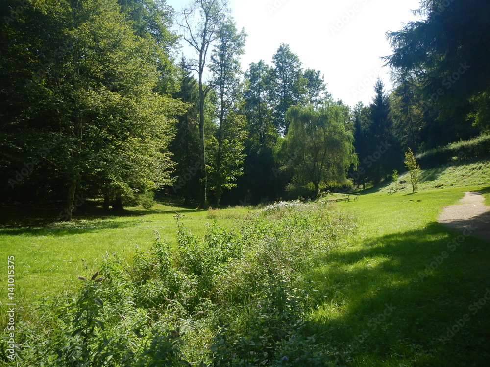 Obraz premium Quelle der Seine