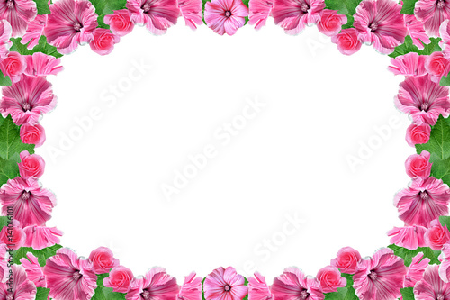 Petunias isolated on a white background. Colorful flowers.