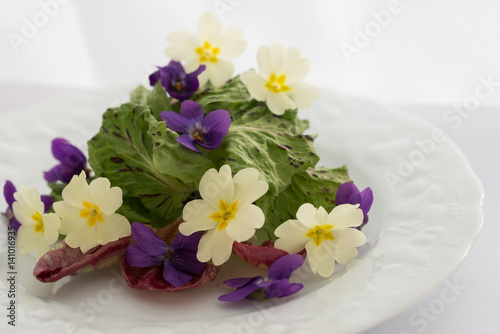 fresh spring salad salad