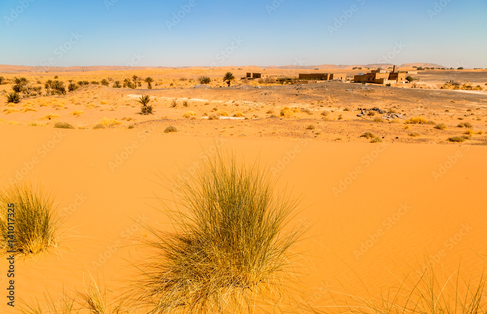 Beautiful Moroccan Mountain landscape with dry shrubs in foreground