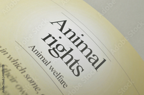 Slika na platnu Animal rights campaign
