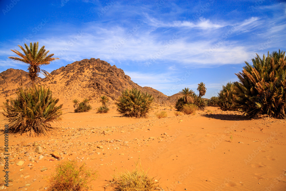 Beautiful Moroccan Mountain landscape in desert with oasis