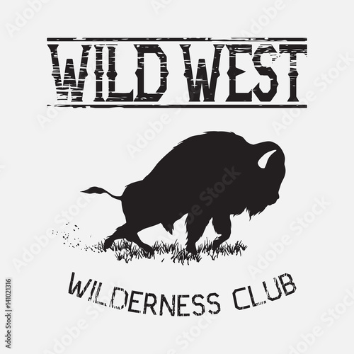 buffalo wild west