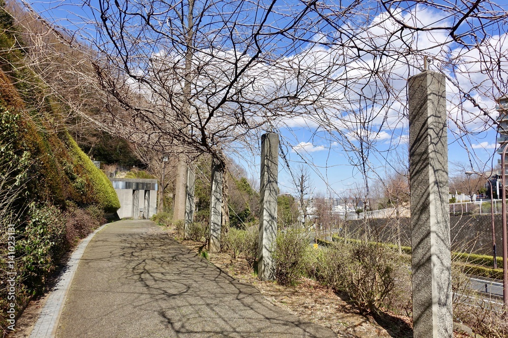Fototapeta premium 散歩道