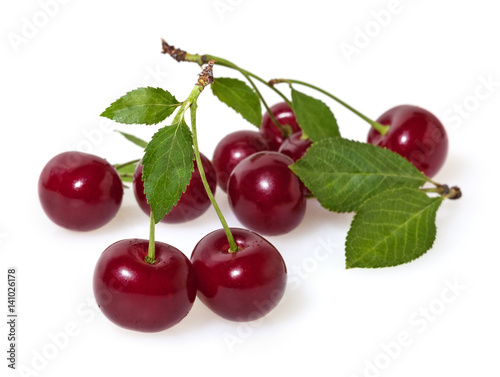 Cherries with leaves isolated on white background