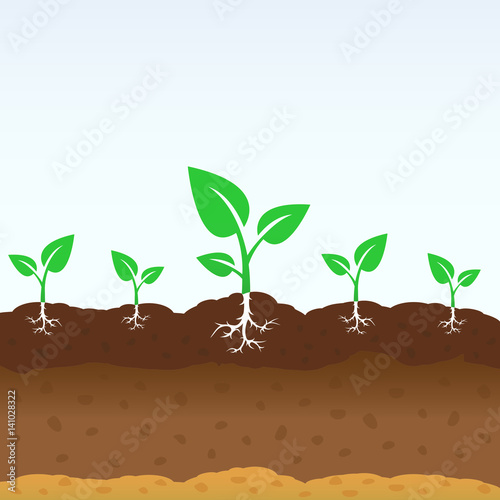Growing shoots out of the ground. Vector plant growing concept design.