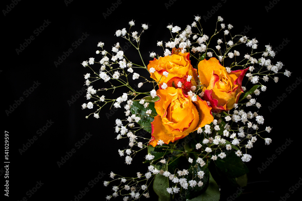 Fototapeta premium Bouquet from roses and Gypsophila with drops on petals