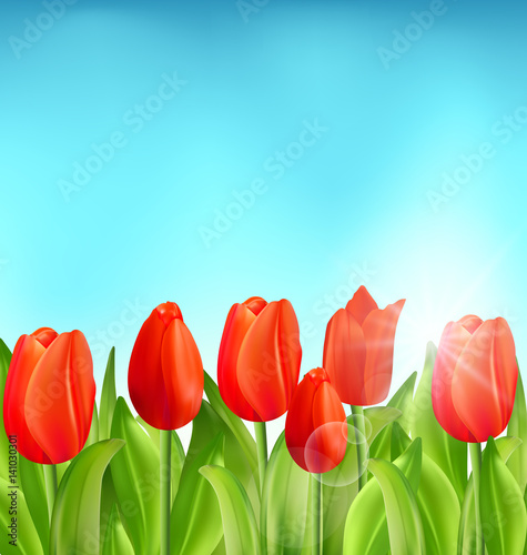 Nature Floral Background with Tulips Flowers