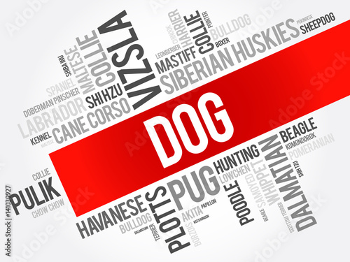 List of most popular dog breeds word cloud collage, animal concept background