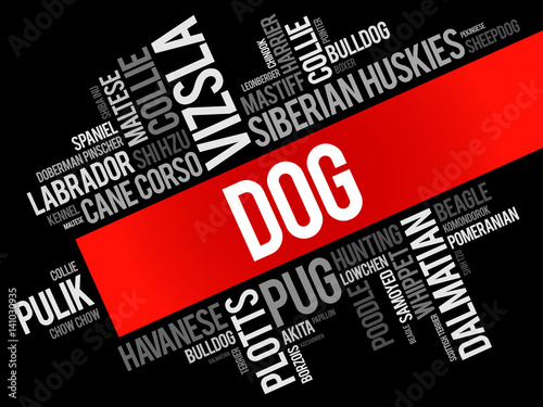 List of most popular dog breeds word cloud collage, animal concept background