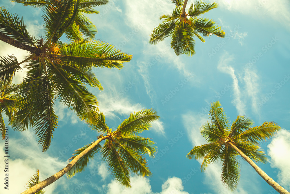 Fototapeta Palmy kokosowe w pochmurne niebo