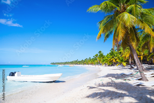 Coconut palms and white pleasure boat © evannovostro