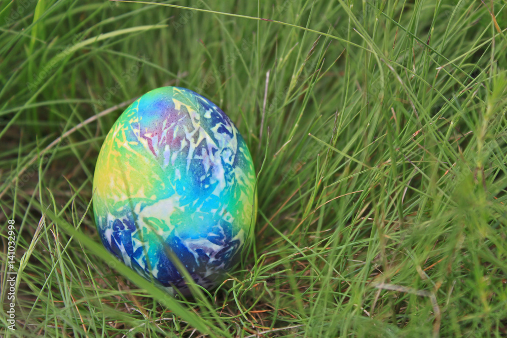 Colored Easter egg on green grass Colored Easter egg on green grass