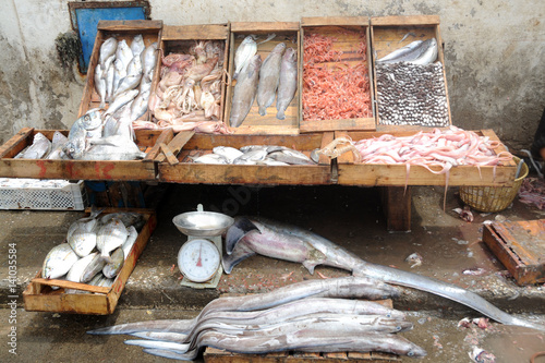 Africa - Essaouira - Bancarella del pesce nel porto photo