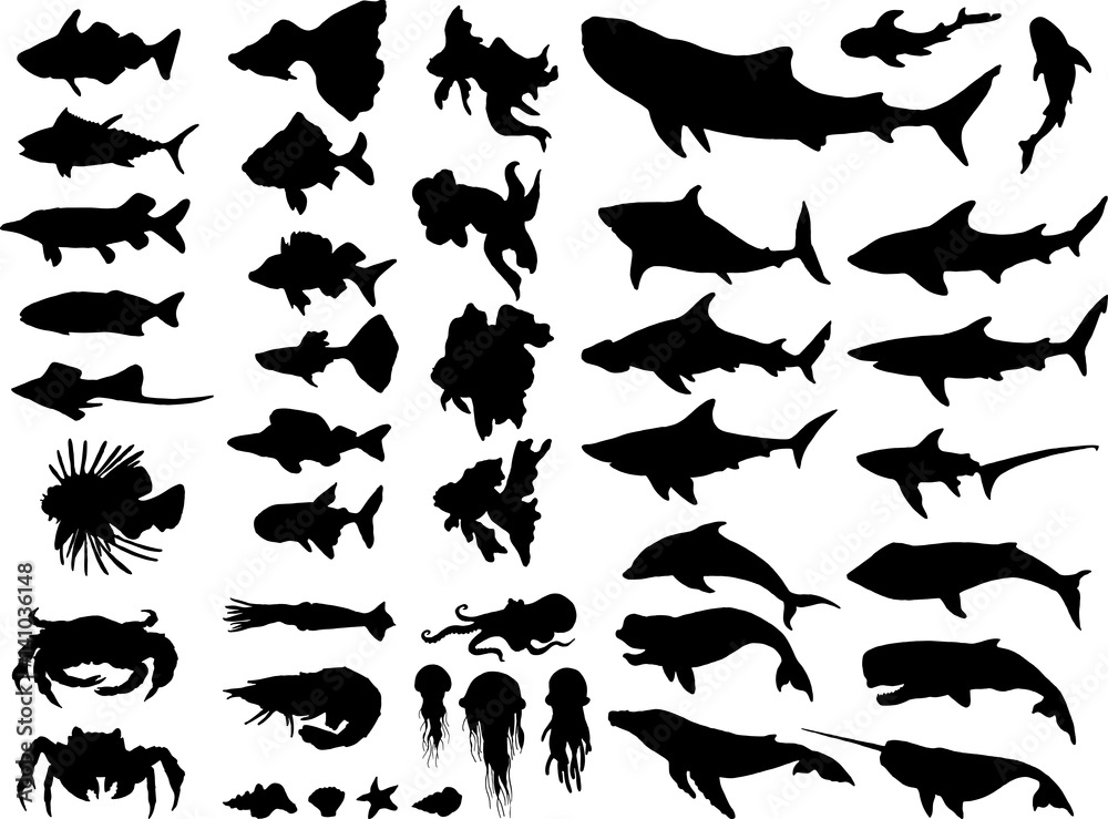 set of sea, ocean, river and aquarium animals silhouettes  - obrazy, fototapety, plakaty 