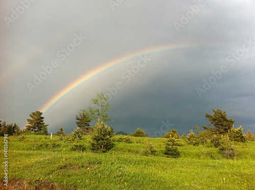 Green forest with rocks and cloudy sky and rainbow