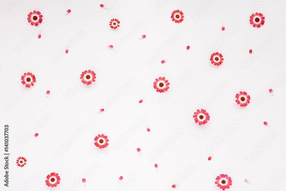 Card with spring flowers. Pink flowers on white background. Flat lay. Card with spring flowers. Pink flowers on white background. Flat lay.
