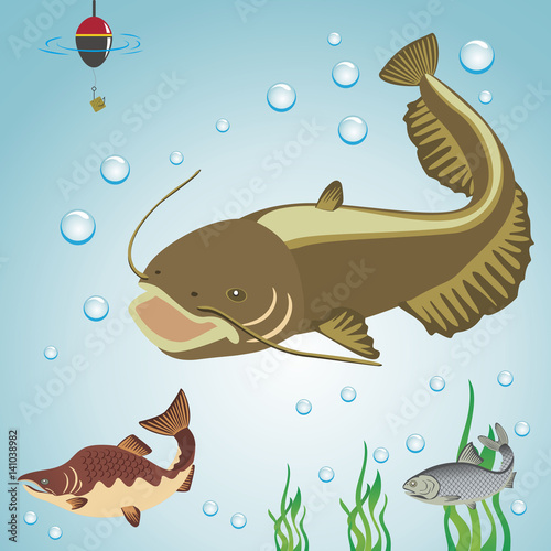 Fish and fishing