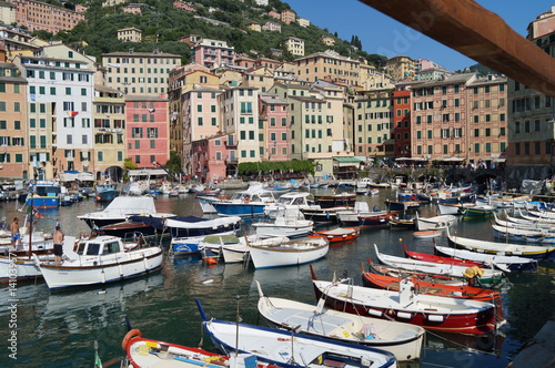 Port of camogli , whit tipical boat moored © rossano