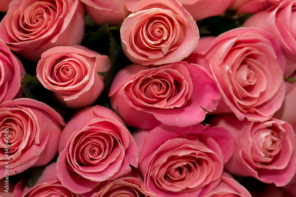 Macro photography of pink roses bouquet 