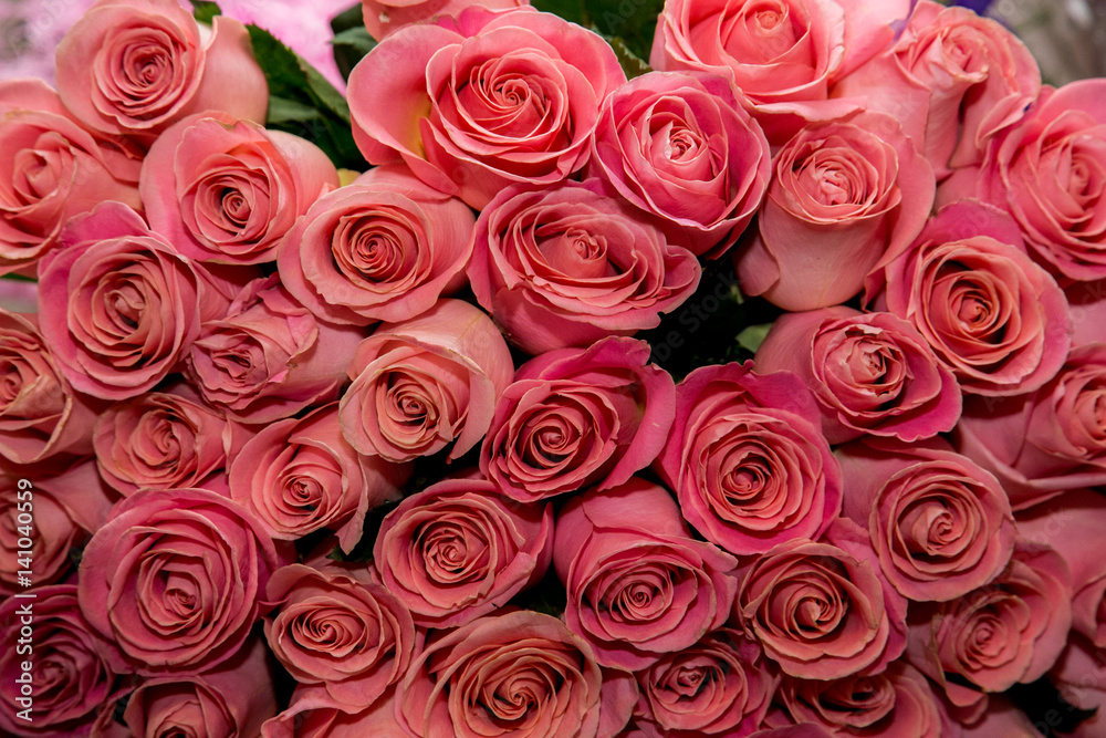 A lot of pink roses bouquet flowers A lot of pink roses bouquet flowers