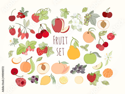 Set of vector illustration of fruits and berries