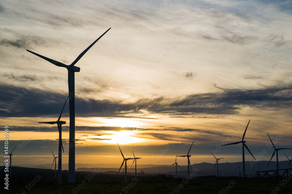 Obraz premium Wind Farm