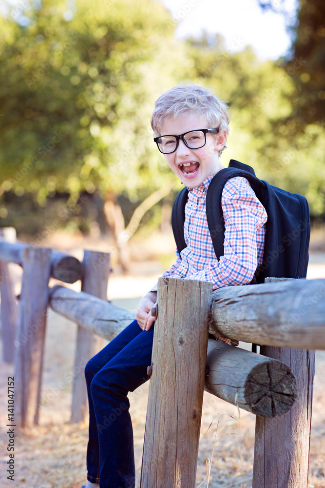 Fototapeta premium back to school