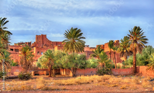 Palm grove at Ouarzazate, Morocco photo