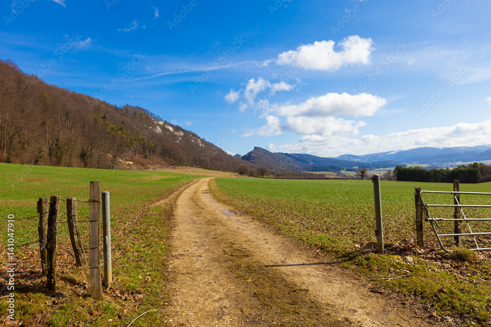 country landscape with fence and dirt road, spring