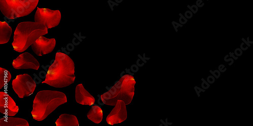 falling red rose petals on black background