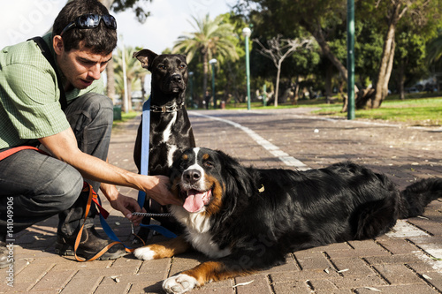 Dogwalker with Dogs in Park photo